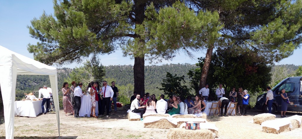 P1080353.jpg