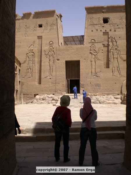 110.JPG