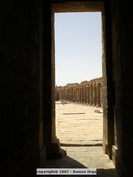 114.JPG