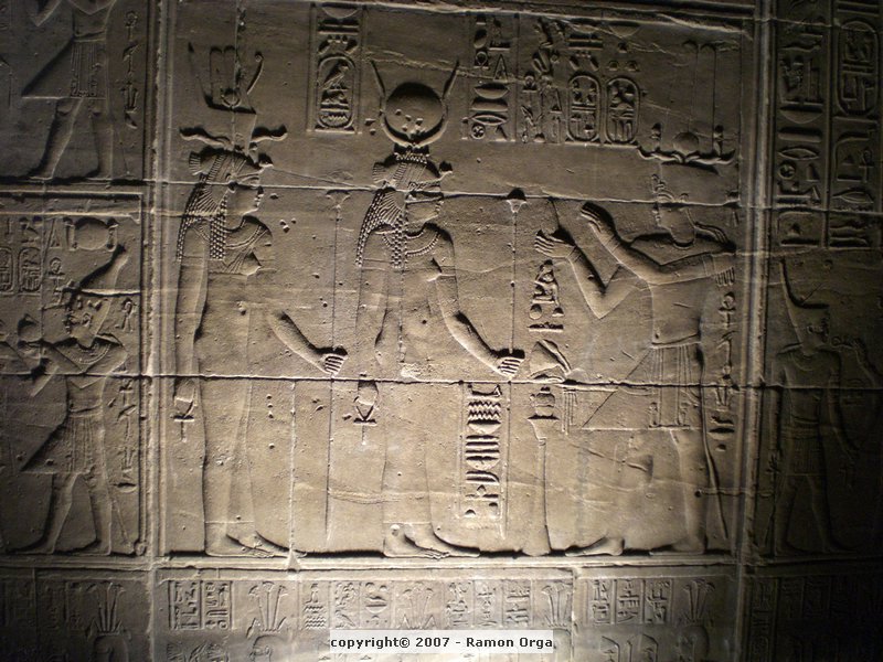 121.JPG