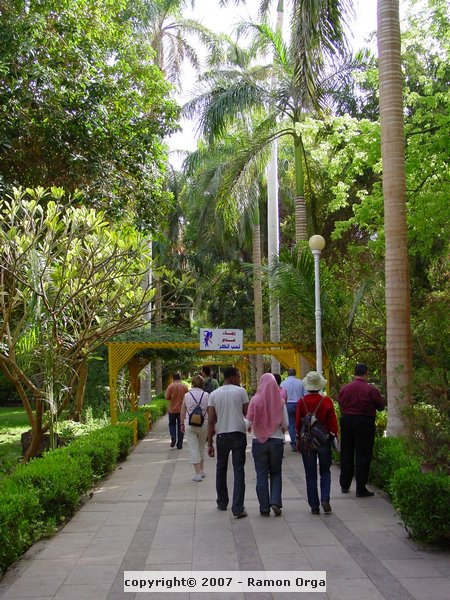 145.JPG