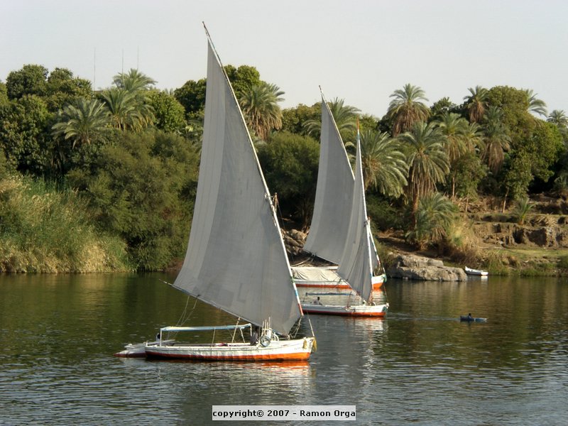 159.JPG
