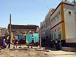 043.JPG