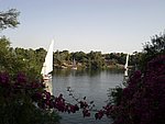 156.JPG
