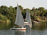 159.JPG