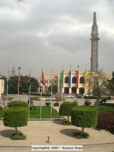 CIMG0718.JPG
