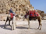 065DSC05297.JPG