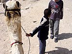 091DSC05309.JPG