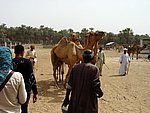 DSC05103.JPG