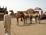DSC05107.JPG