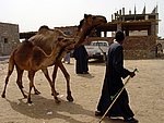 DSC05109.JPG