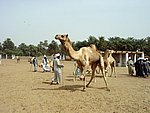 DSC05111.JPG