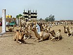 DSC05112.JPG