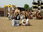 DSC05120.JPG