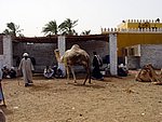 DSC05125.JPG