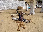 DSC05129.JPG
