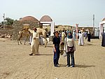 DSC05130.JPG