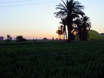 05DSC05175.JPG