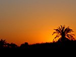 07DSC05177.JPG