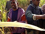 CIMG0487.JPG