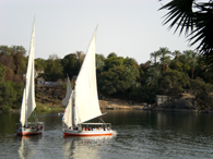 Aswan (184 fotos)