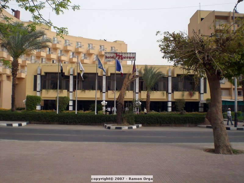 CIMG0354.JPG