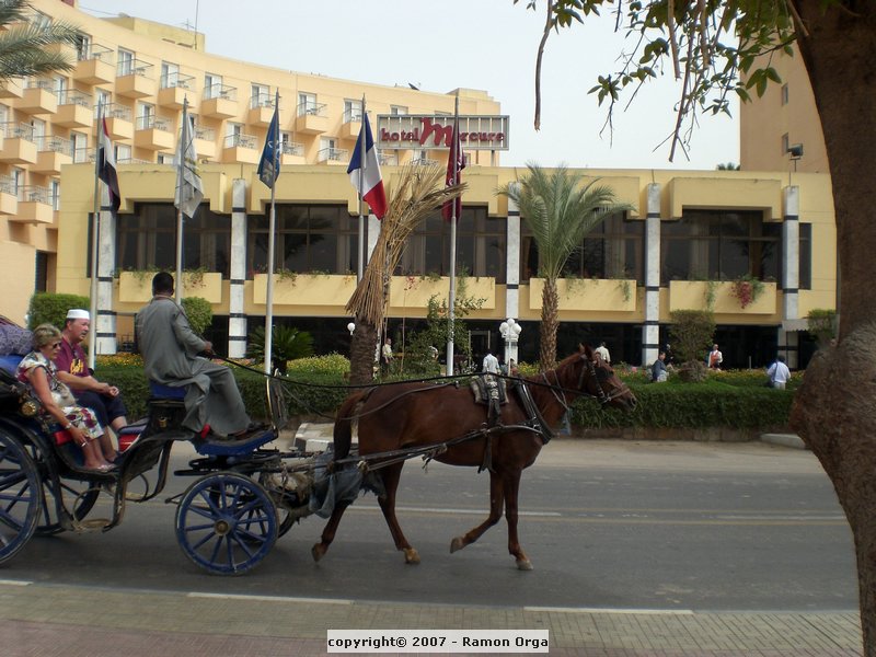 CIMG0355.JPG