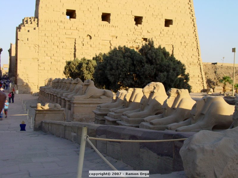 FDSC05248.JPG
