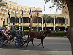 CIMG0355.JPG