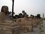 CIMG0364.JPG