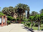 DSC05210.JPG