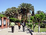 DSC05211.JPG
