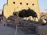 FDSC05248.JPG