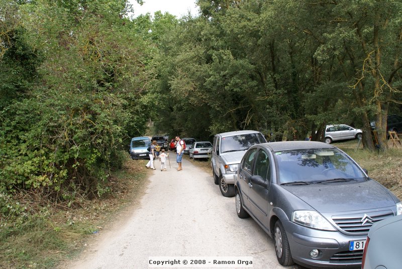 DSC02276.JPG