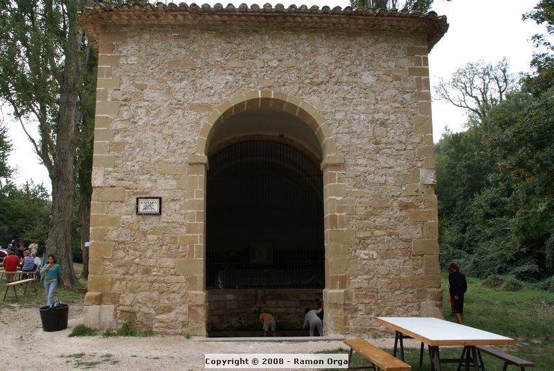 DSC02278.JPG