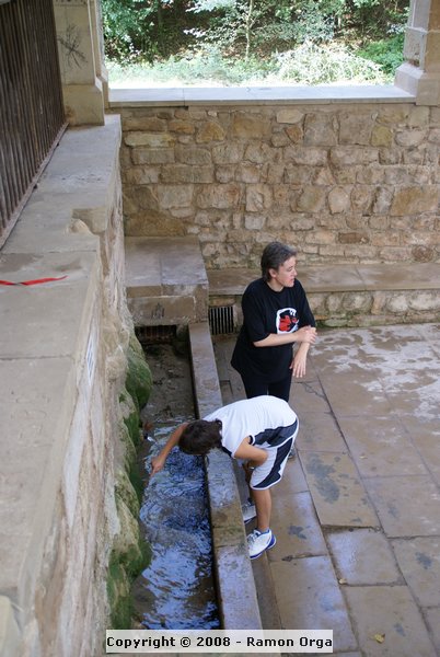DSC02285.JPG