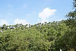 DSC02293.JPG
