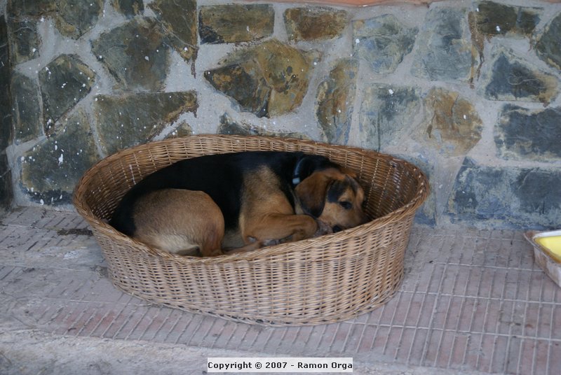DSC01078.JPG