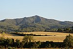 DSC01065.JPG