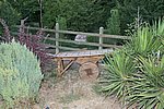 DSC01067.JPG