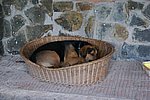 DSC01078.JPG