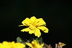 DSC01088.JPG