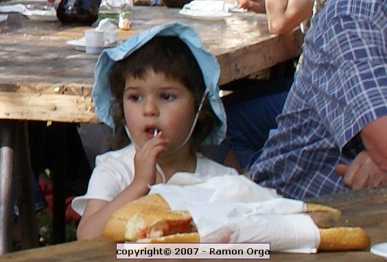 DSC00178r.jpg
