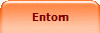 Entorn