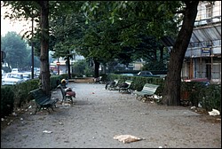 006.JPG