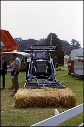 121.JPG