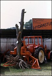 126.JPG