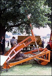 127.JPG