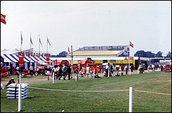 137.JPG