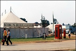147.JPG